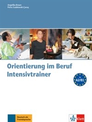 Orientierung im Beruf Intensivtrainer mit Audio-CD