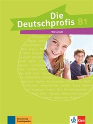 Die Deutschprofis B1 WÃ¶rterheft (Vocabulary Book, entirely in German)